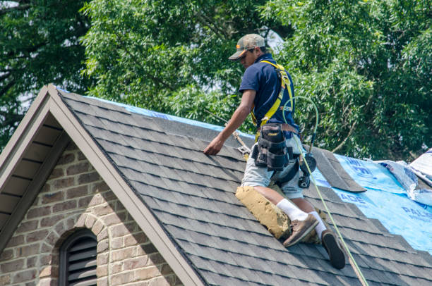 Roof Gutter Cleaning in Orland, CA